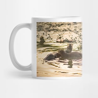 River Otter at sunset Mug